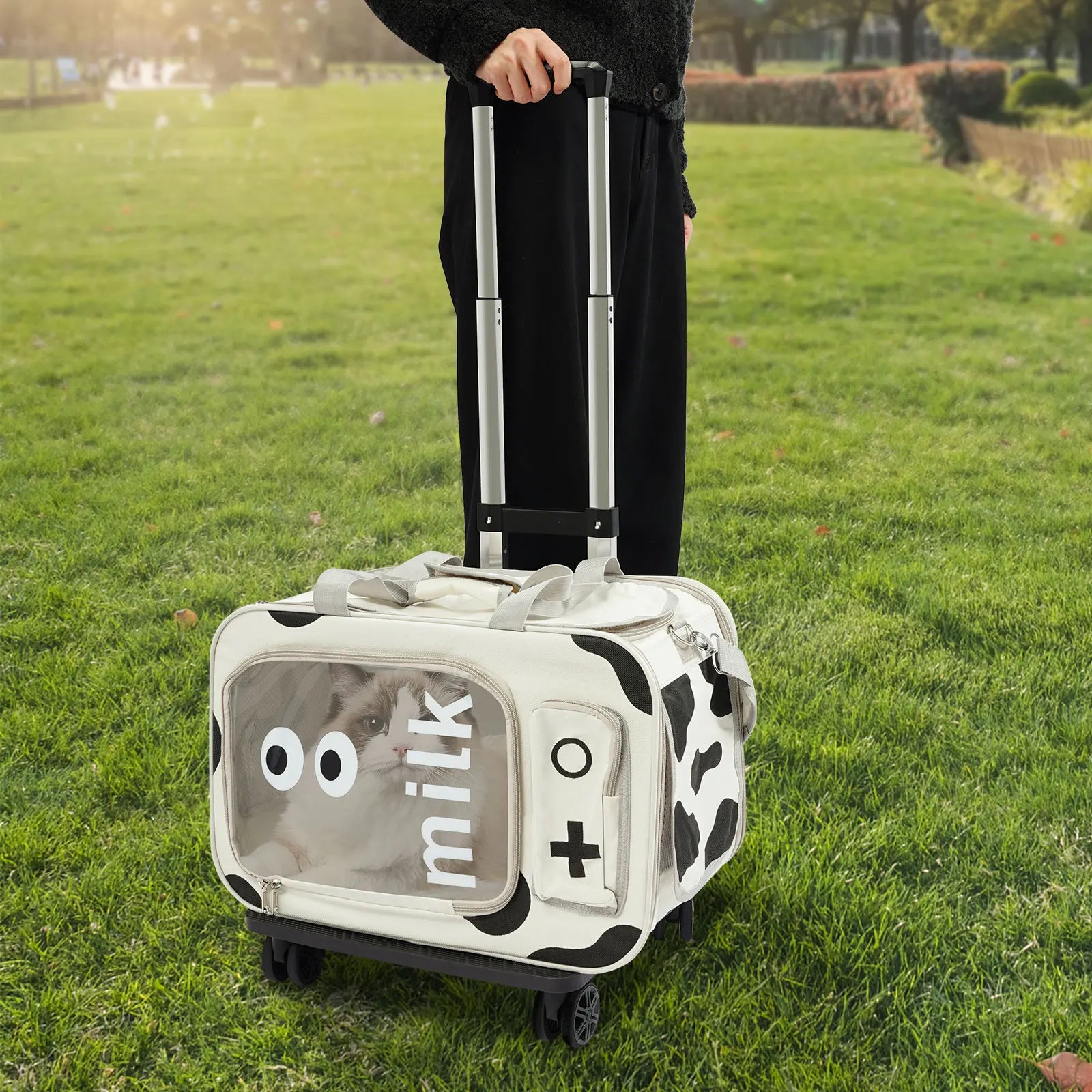 Pets Go Out with Portable Trolley Cases