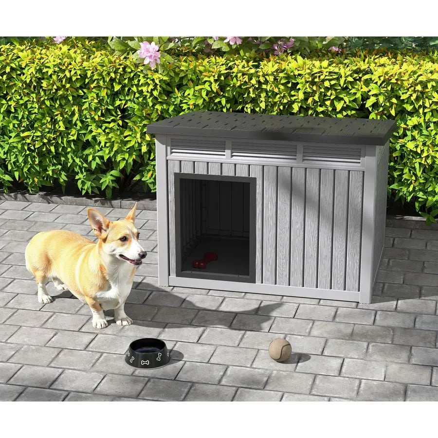 Dog House