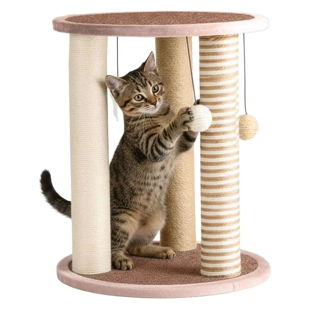 Scratching Post 3 Posts