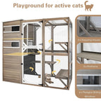 Large Cat Enclosure