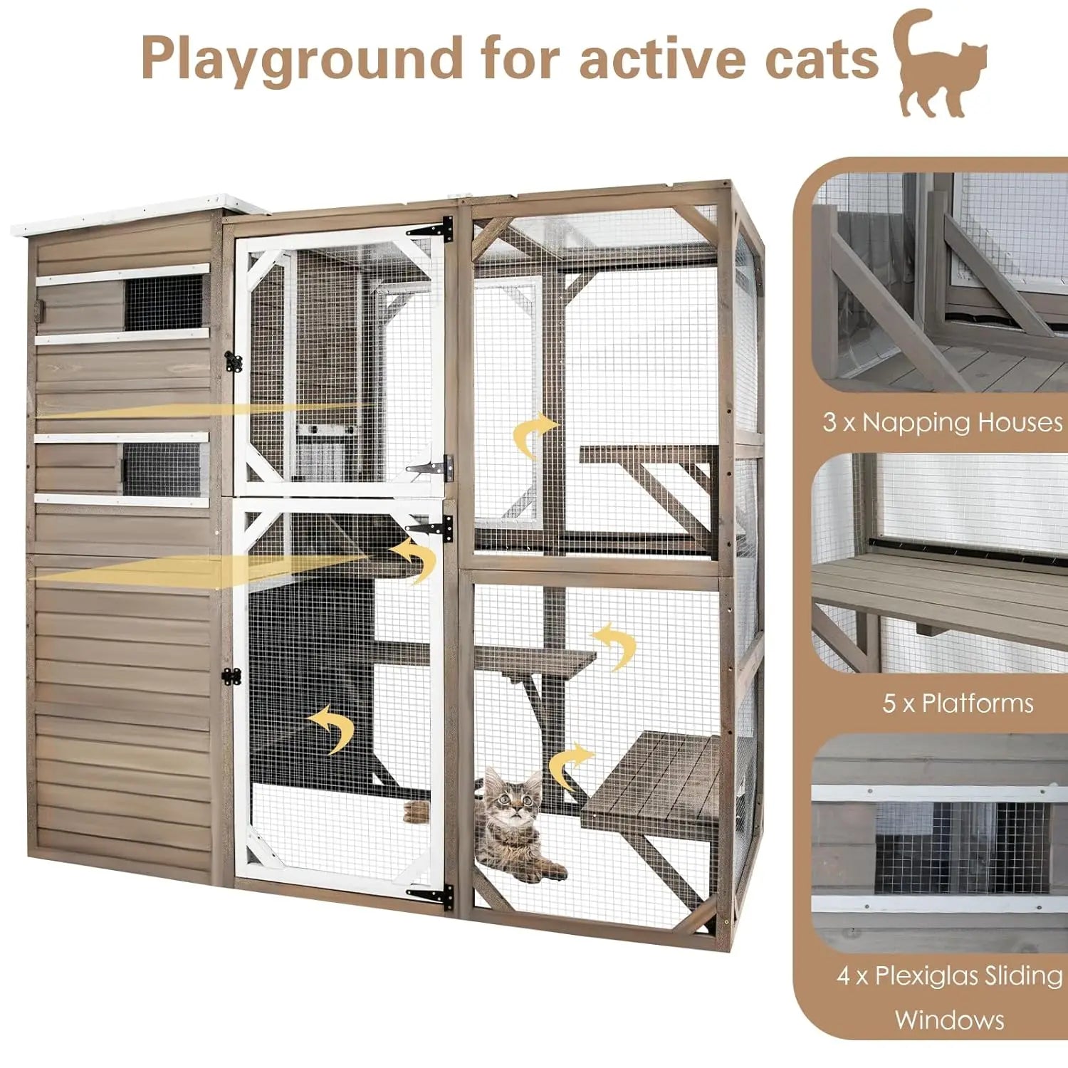 Large Cat Enclosure
