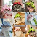 Cute Refined Cat Hat