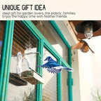 Transparent Bird Feeder