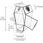 Glass Enclosure for Jumping Spiders