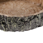 Reptile Amphibians Food/Water Dish