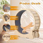 Exercise Wheel for Indoor Cats