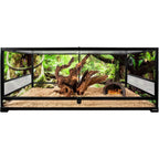 Glass Extra-Long Terrarium
