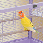 Breeding Bird Cage