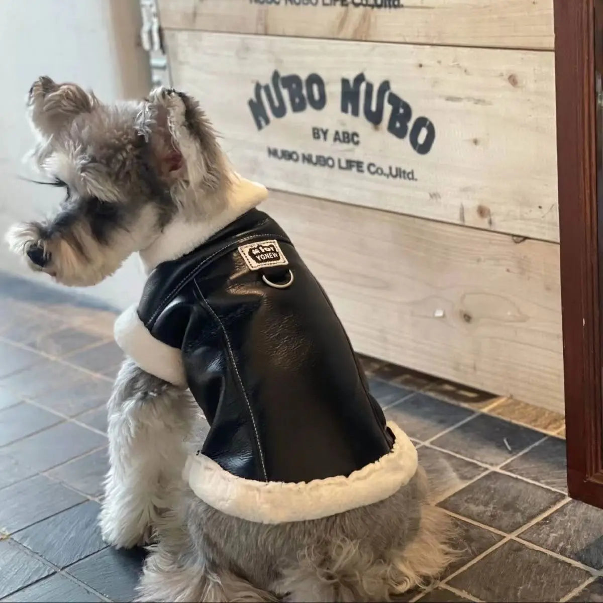 Pet Padded Vest Winter Warmth