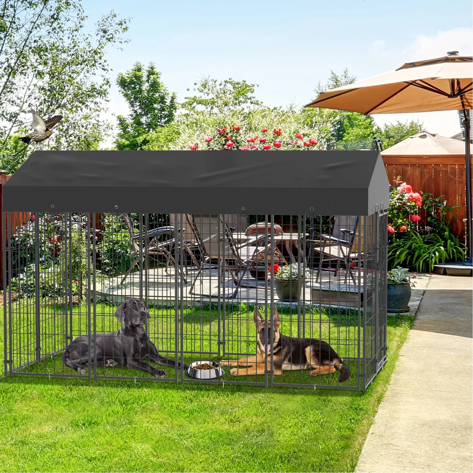 Large Dog Kennel