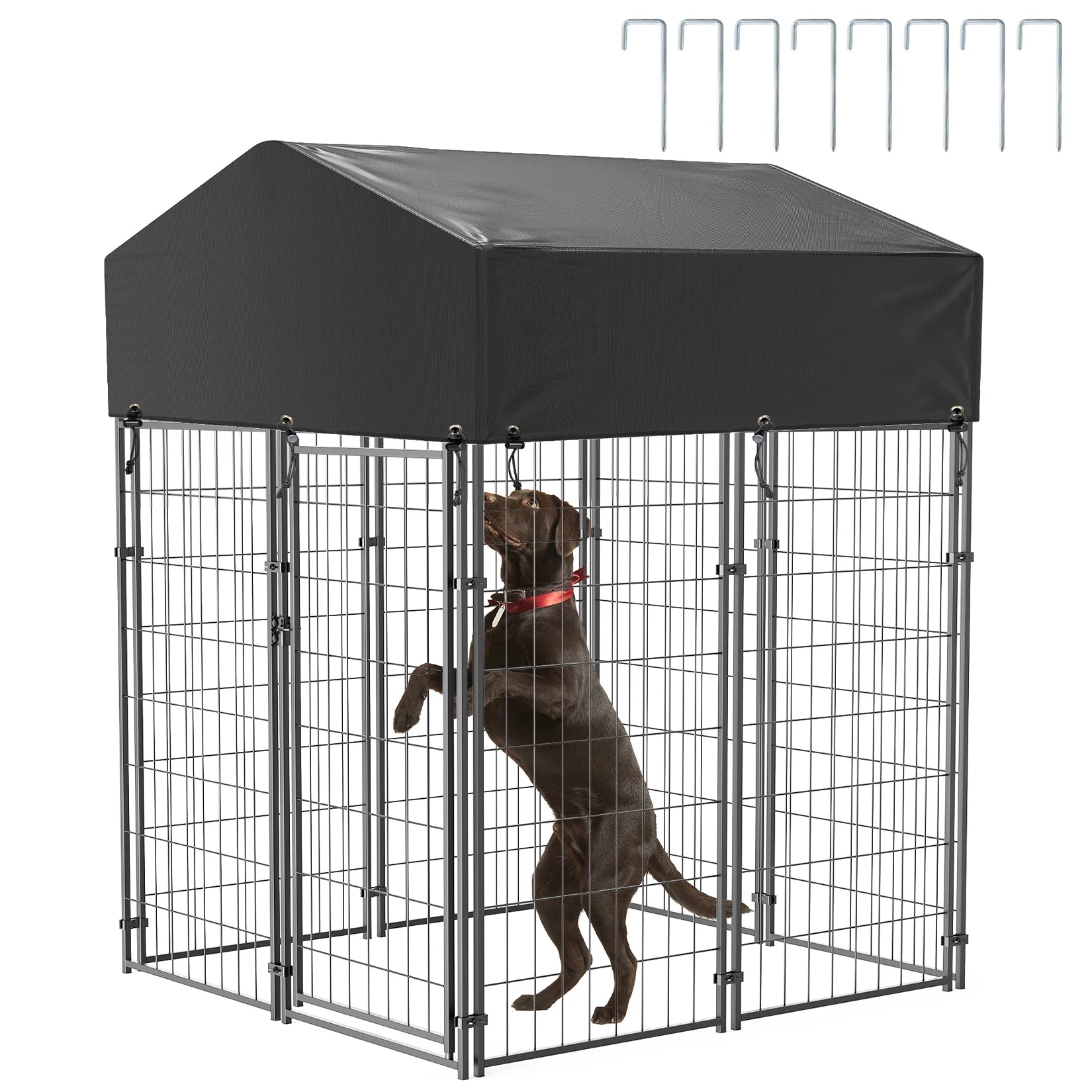 Large Dog Kennel