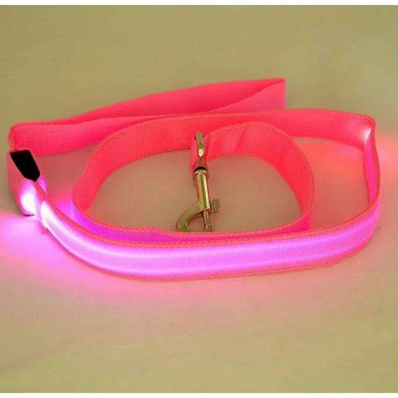 Flashing Leash Leash Rope