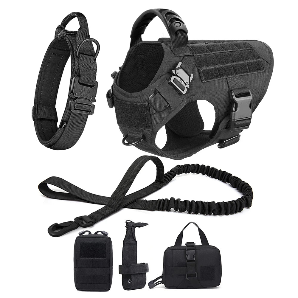 Large Dog Harness/Leash Set