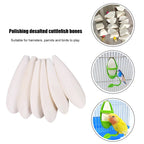 Cuttlefish Bone Chewing Toys