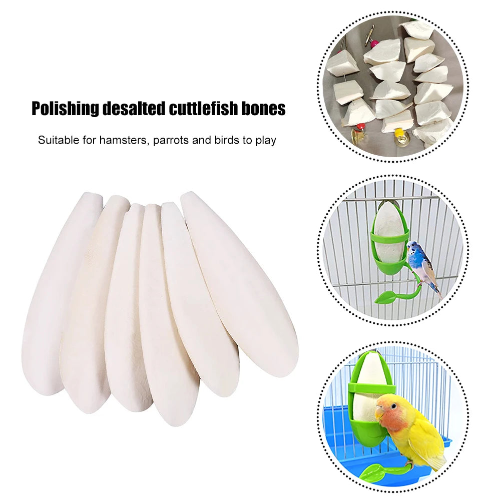 Cuttlefish Bone Chewing Toys