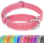 Adjustable Martingale Dog Collar, Reflective