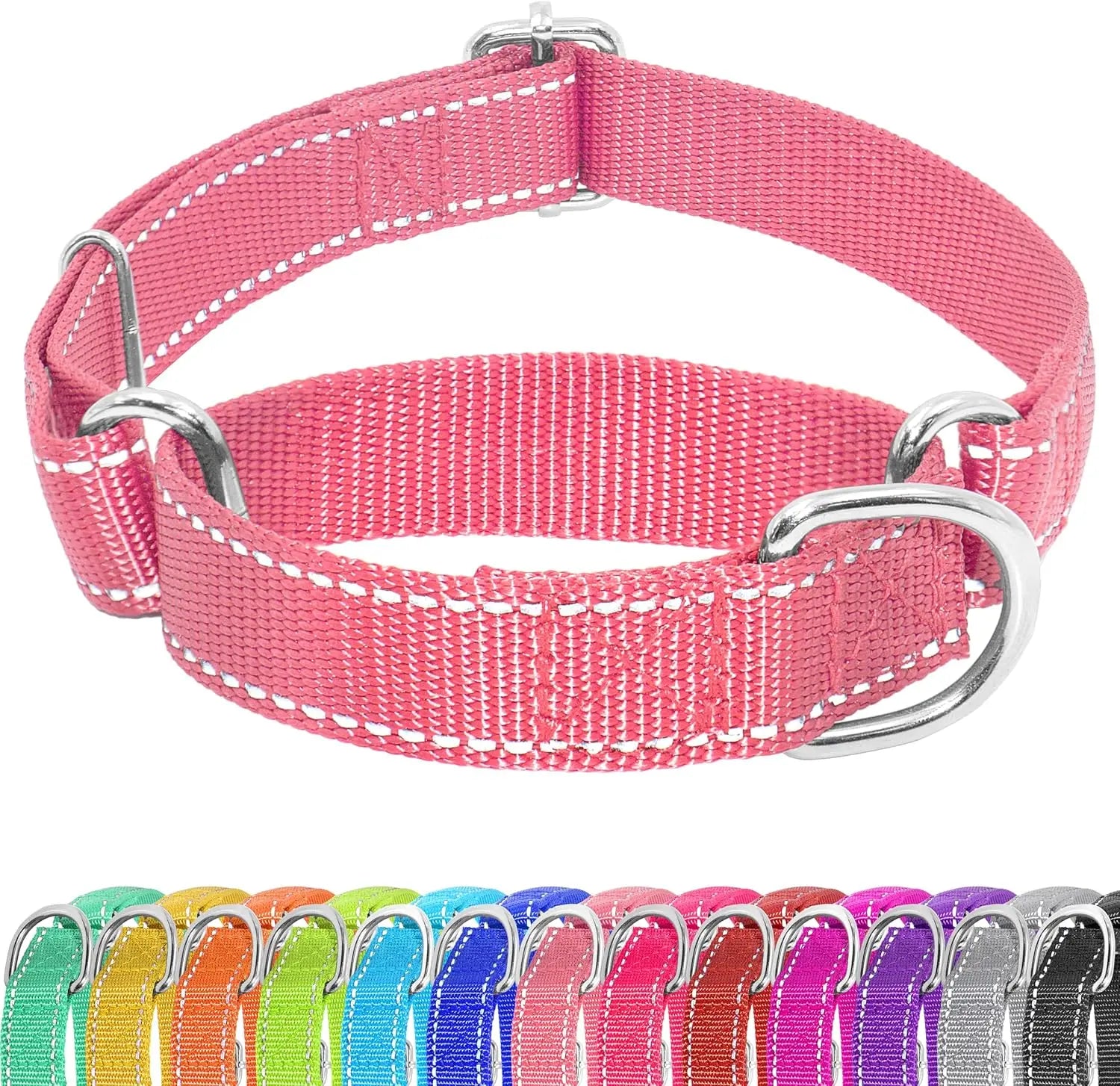 Adjustable Martingale Dog Collar, Reflective