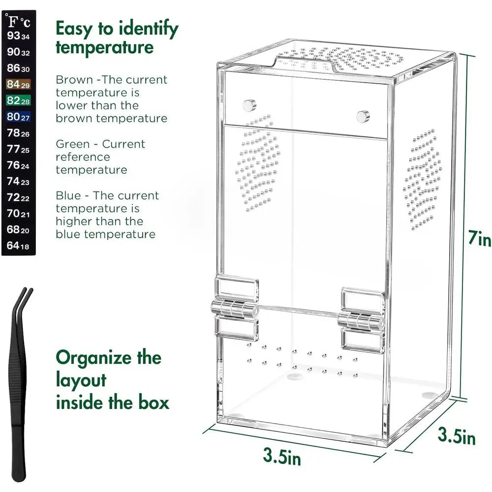 Jumping Spider Enclosure