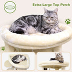 Cat Tree for Large Cats