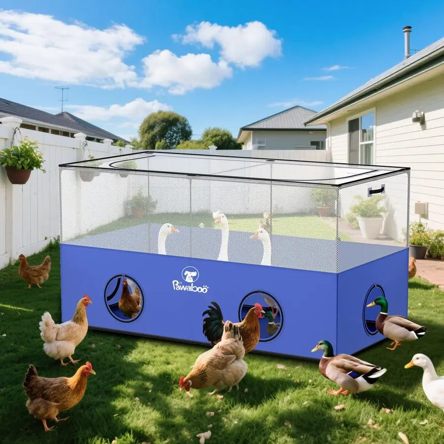 Small Animal Playpen