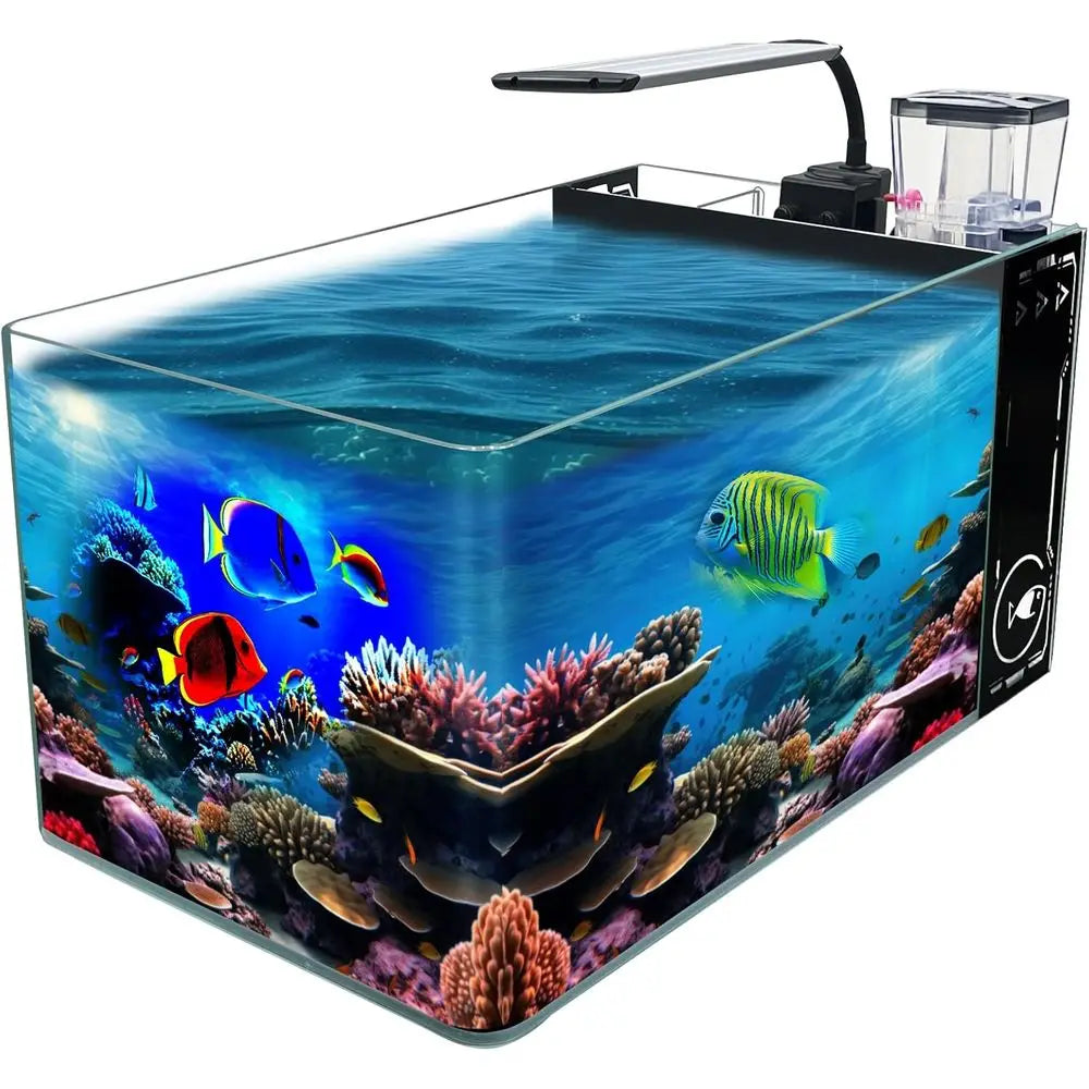 Curved Corner Saltwater Aquarium Rimless