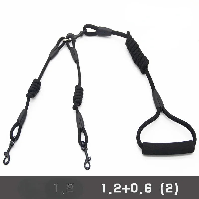 Leashes for 2 smaller Dogs
