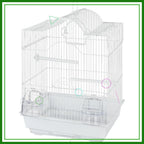 Small Bird Starter Kit