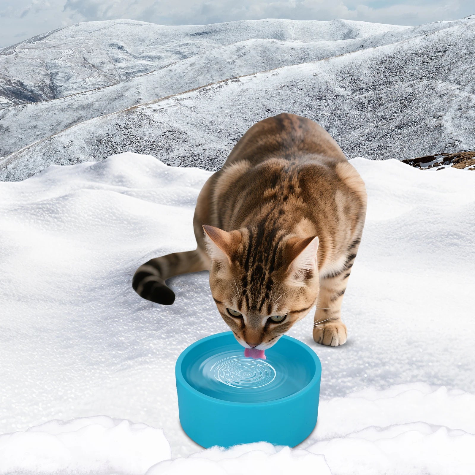 Outdoor Thermal Pet Bowl 3.2 L Heated Dish