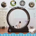 Large Cat Exercise Wheel