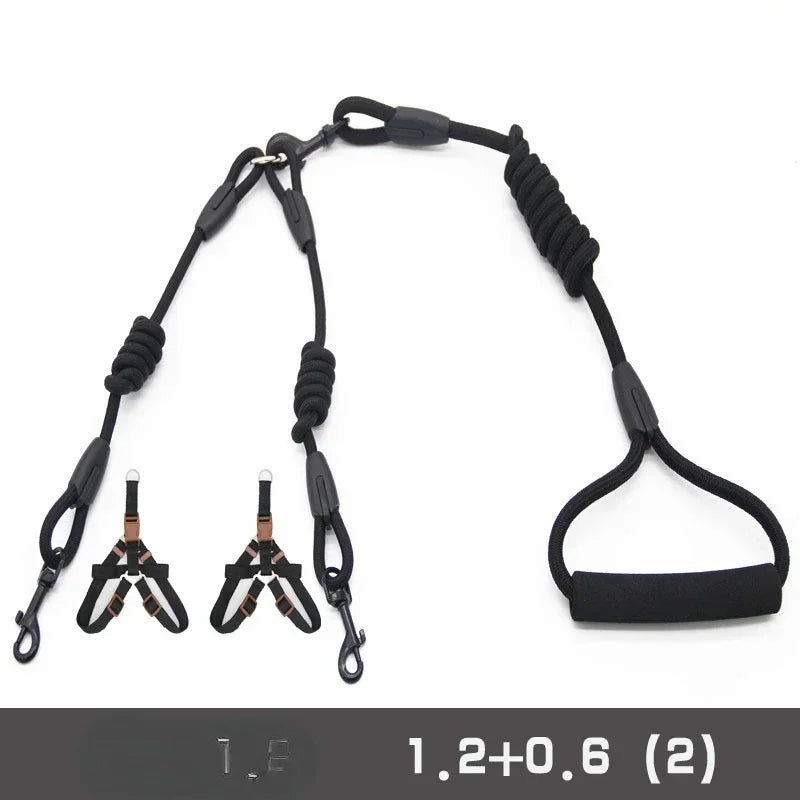 Leashes for 2 smaller Dogs