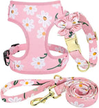 Cute Harness & Leash Set