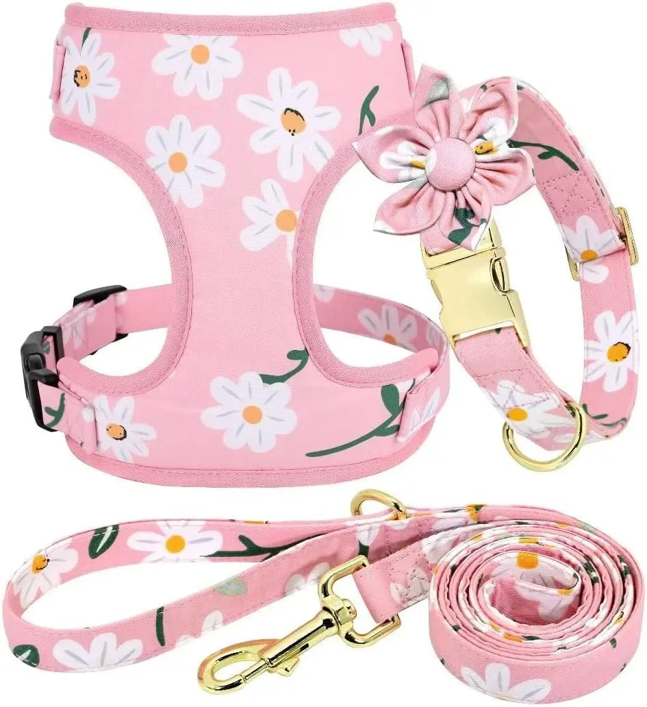 Cute Harness & Leash Set