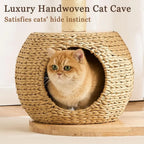 Luxury Solid Wood Cat Tower