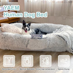 Human Dog Bed