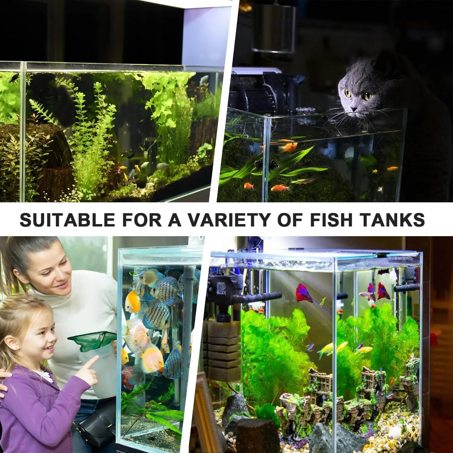 7-Hole Aquarium Plant Holder with Feeder