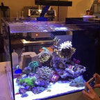 Aquarium LED Light with Touch Control & Timer