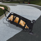 Pet Stretcher Veterinary Transport
