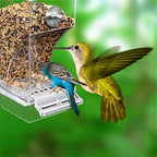 No Mess Bird Feeders