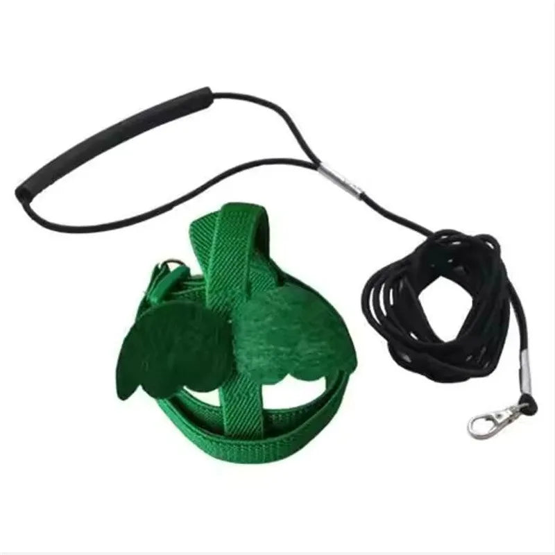 Bird Harness/Leash Training
