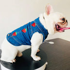 Denim Dog Clothes