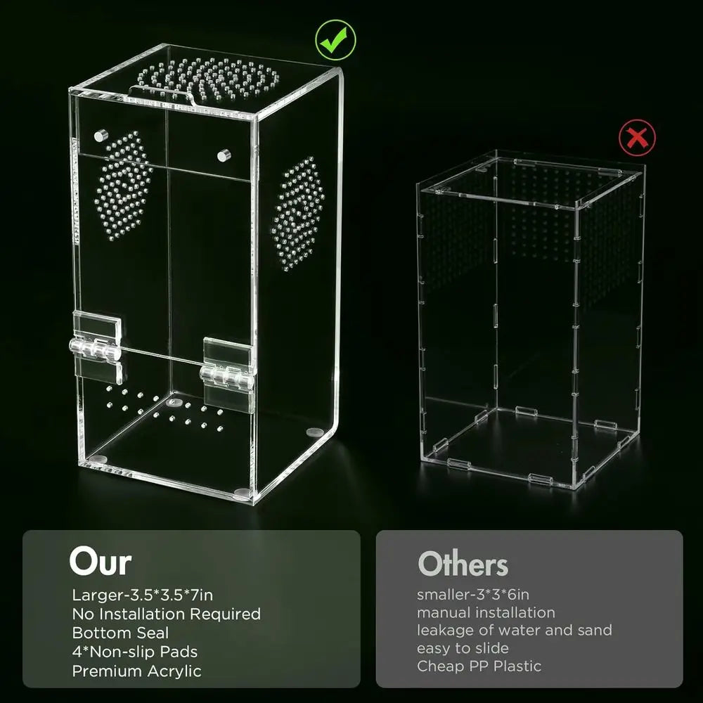 Jumping Spider Enclosure