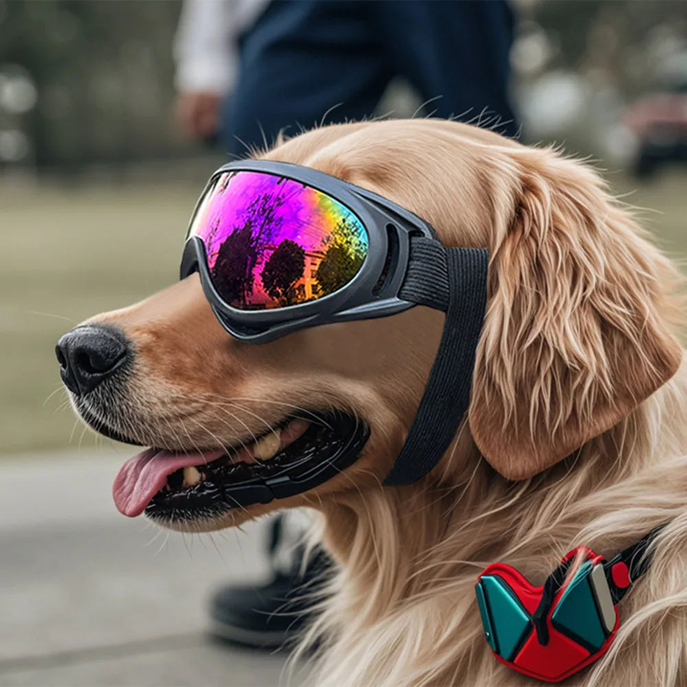 Dog Glasses Adjustable Pet Goggle