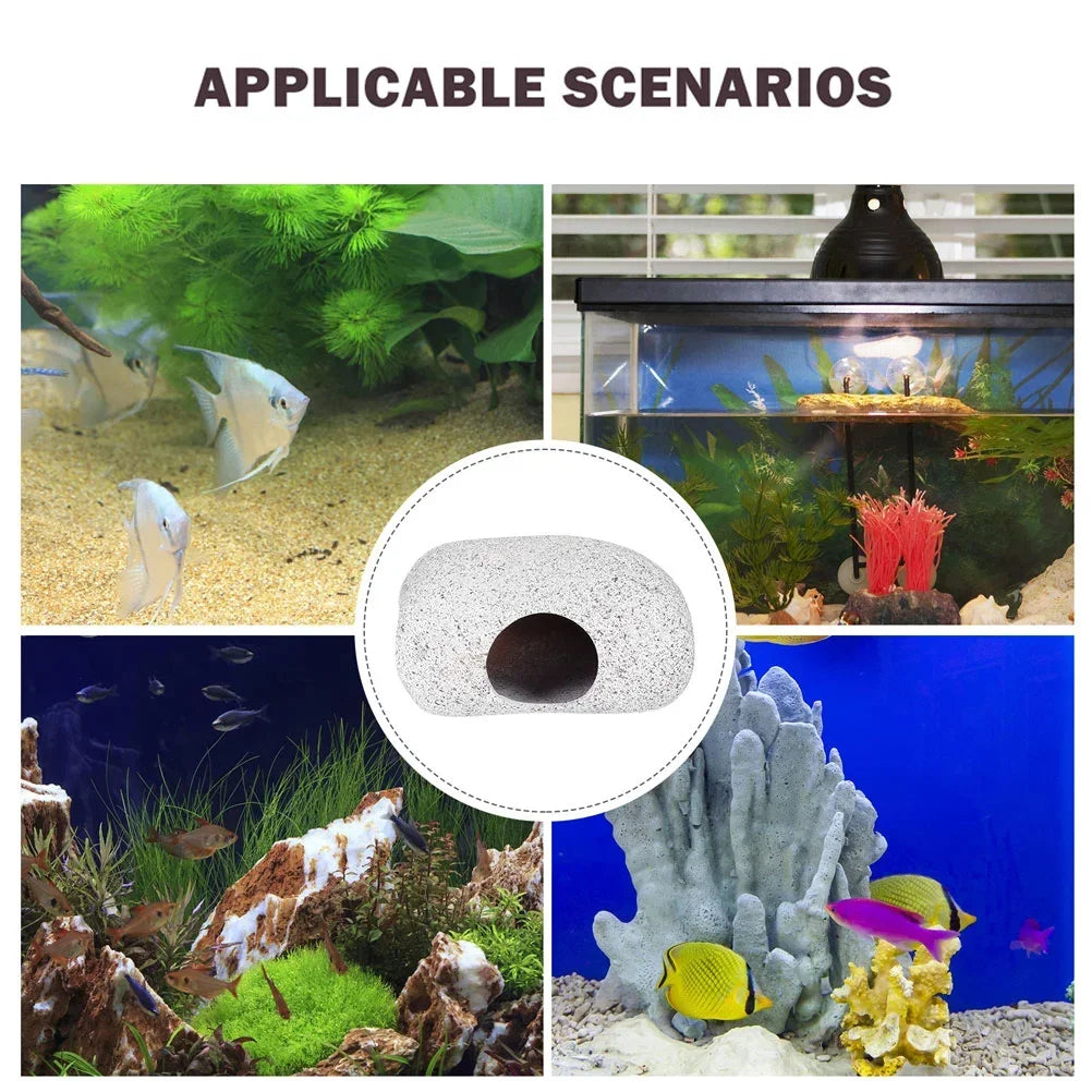 Ceramic Fish Eluding House