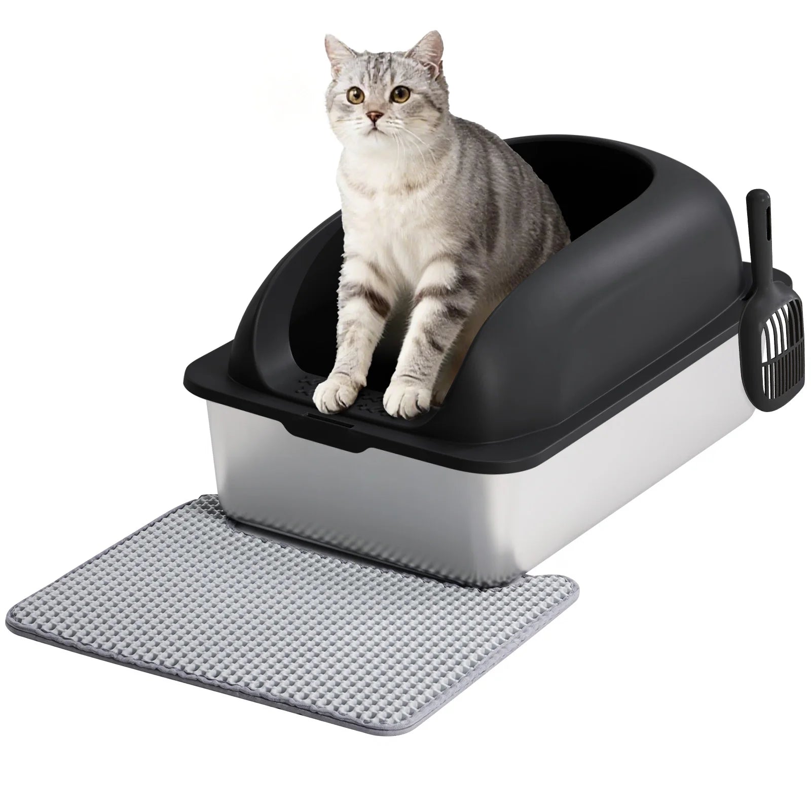 Cat Litter Box with Lid