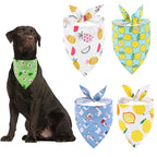 Dog Bandana Fruit Floral Spring