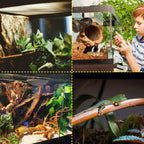 Glass Terrarium Tank