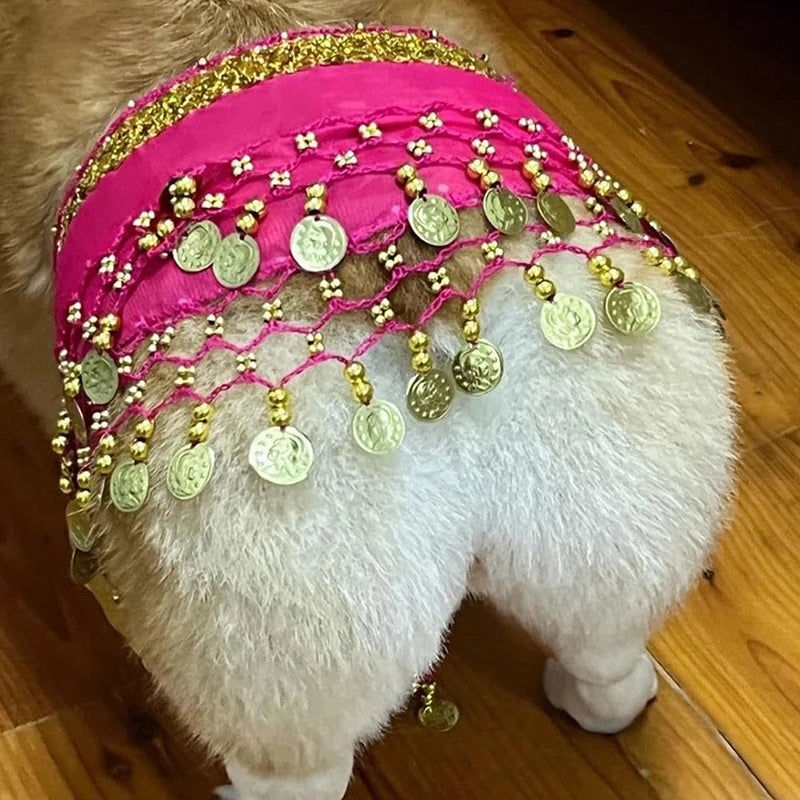 Corgi Belly Dance Belt Skirt