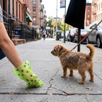 Degradable Dog Waste Bags