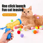 Launch Training For Kittens