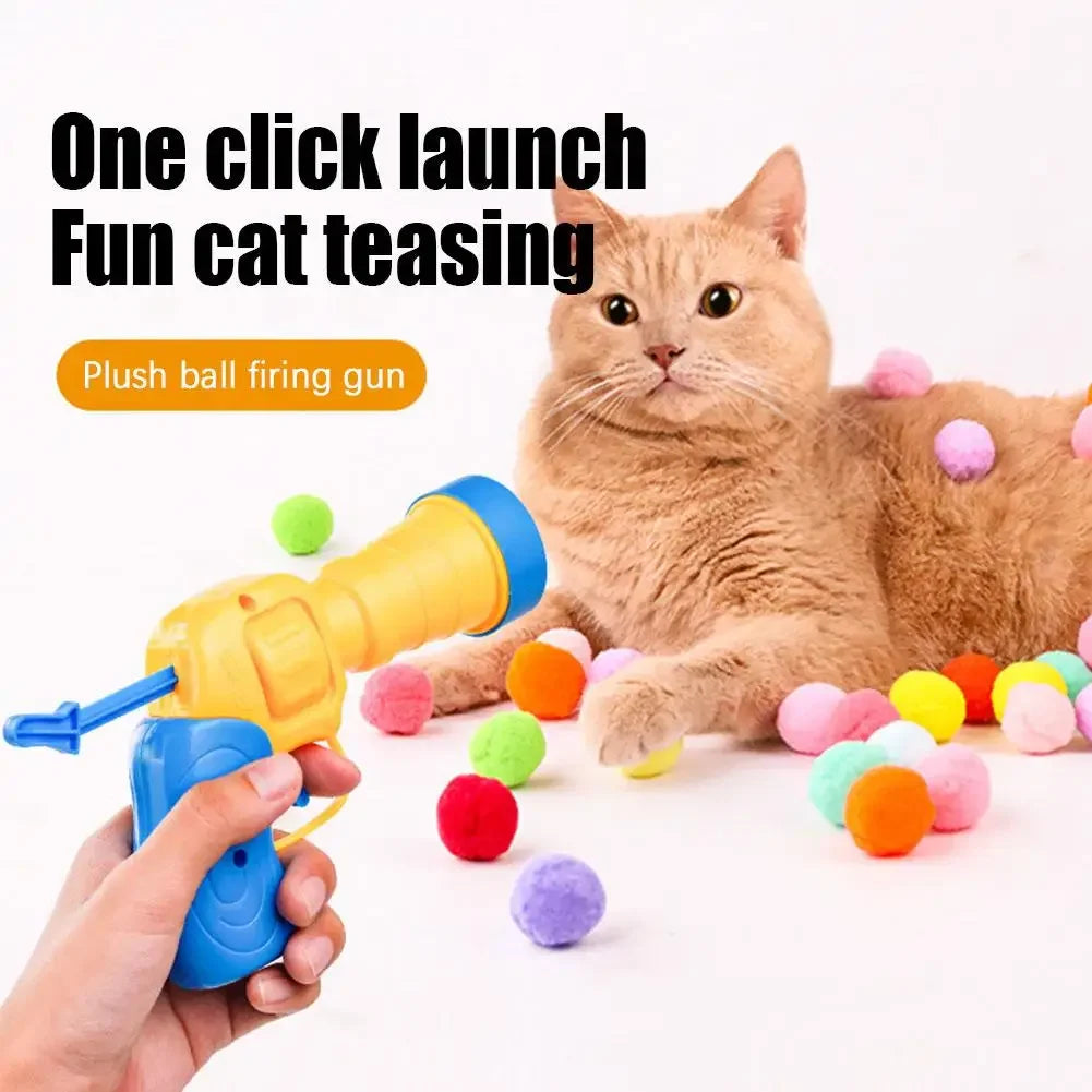 Launch Training For Kittens